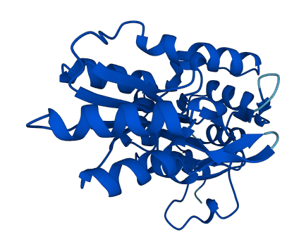 LHPP 3D structure