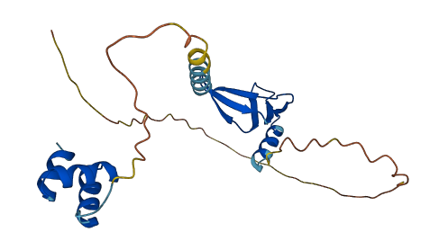 NACA2 3D structure