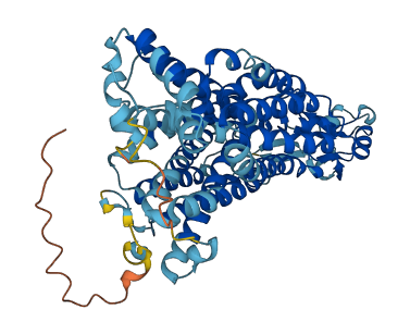 SLC22A4 3D structure