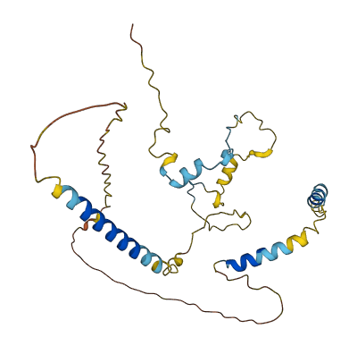 MTFR1L 3D structure