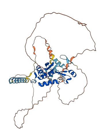 SPRTN 3D structure