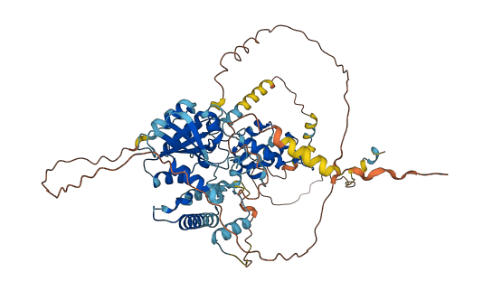 LSG1 3D structure