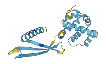 COMMD4 3D structure