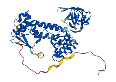 BTBD1 3D structure