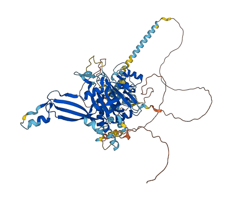 USP44 3D structure