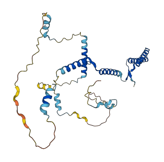 ENKD1 3D structure