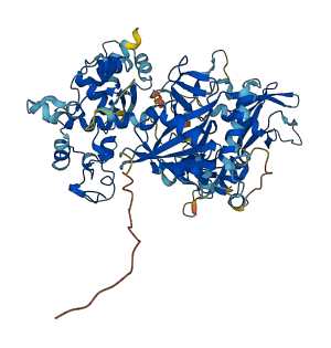 PARP12 3D structure