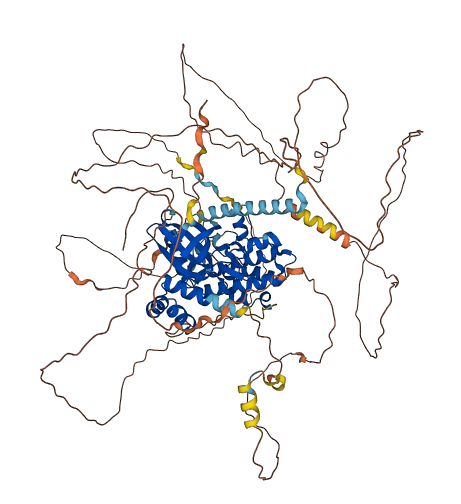 SIK2 3D structure