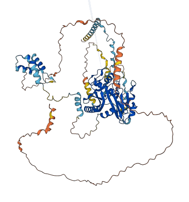 RSPH6A 3D structure