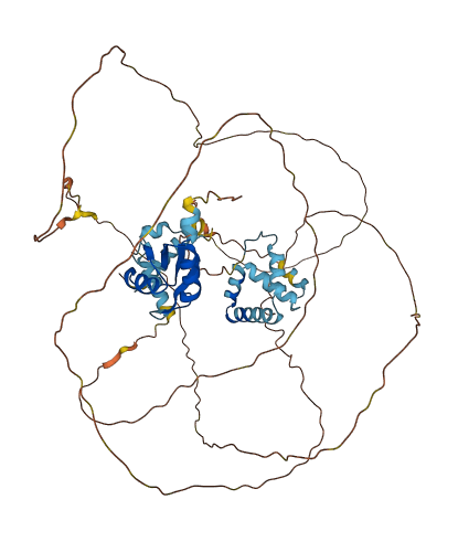 CSTF2T 3D structure