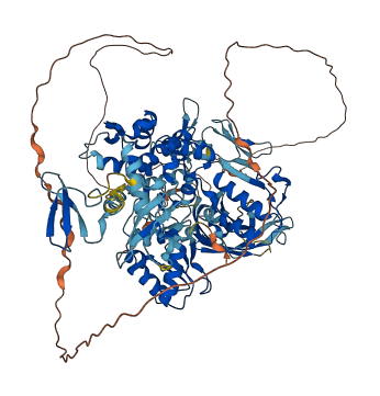 WWP1 3D structure