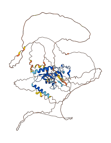 ZCWPW1 3D structure