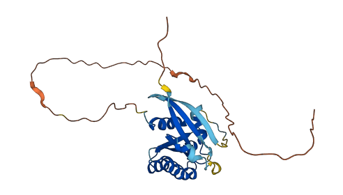 RAB6C 3D structure