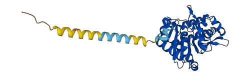 NT5C3A 3D structure