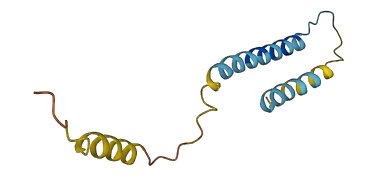 FXYD6 3D structure