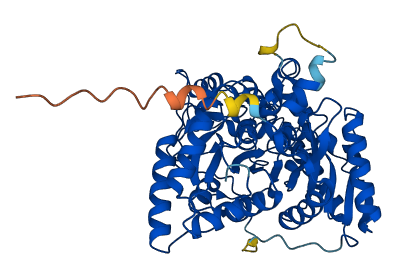 QRSL1 3D structure