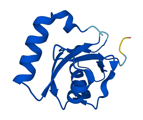 GABARAPL1 3D structure