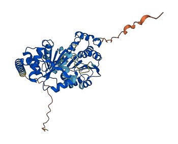 DDX47 3D structure