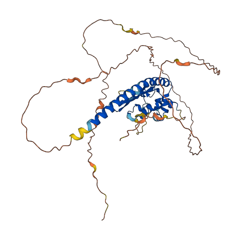 TSPYL1 3D structure