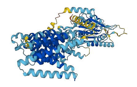 TMEM168 3D structure