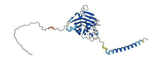 LMAN2L 3D structure