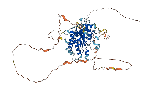 SMG9 3D structure