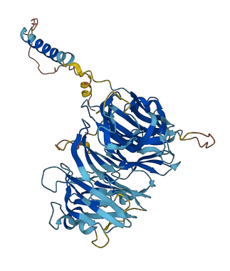 FAM234A 3D structure