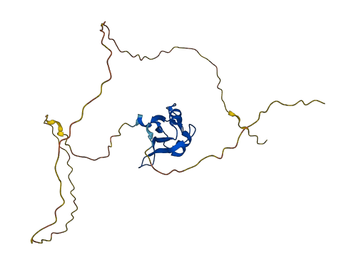 RBM38 3D structure