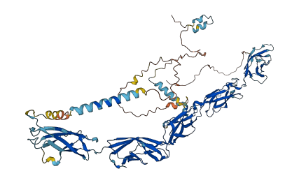 CDH19 3D structure