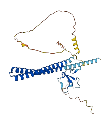 ING2 3D structure