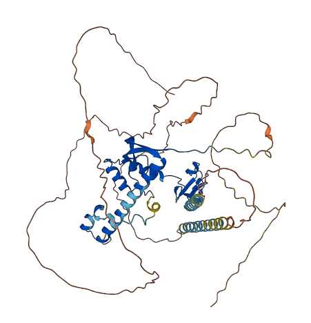 CSRNP2 3D structure
