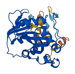 METTL9 3D structure