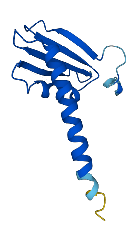 POLR2J3 3D structure