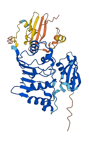 NXF5 3D structure