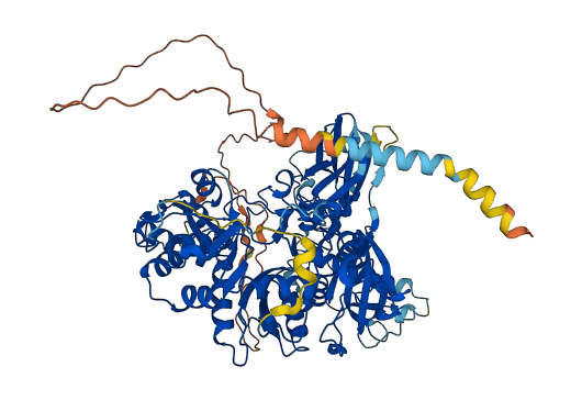 XYLT2 3D structure