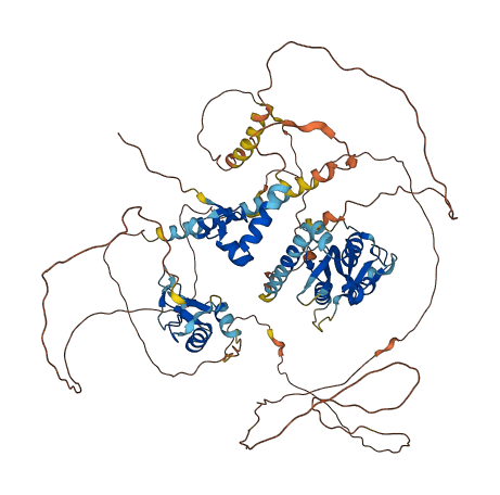 IRF2BPL 3D structure