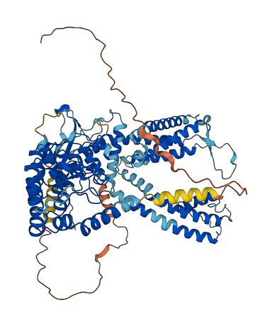 TRPV6 3D structure