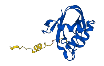 RNASE7 3D structure