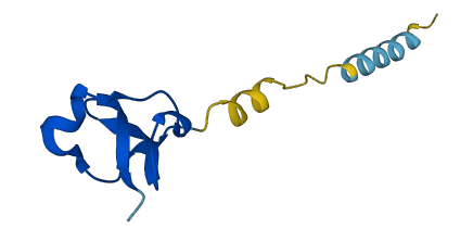 WFDC10A 3D structure
