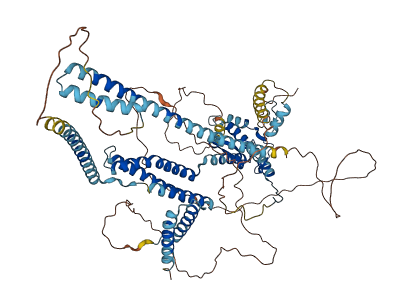 RBSN 3D structure