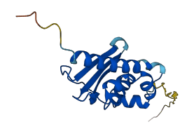 ISCU 3D structure