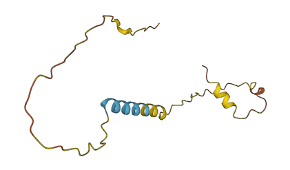 MIR1-1HG 3D structure