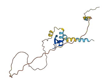DEFB129 3D structure