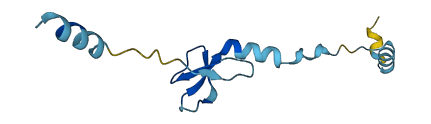 DEFB127 3D structure