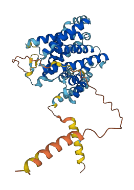 SLC35B3 3D structure