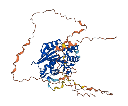 PCED1A 3D structure