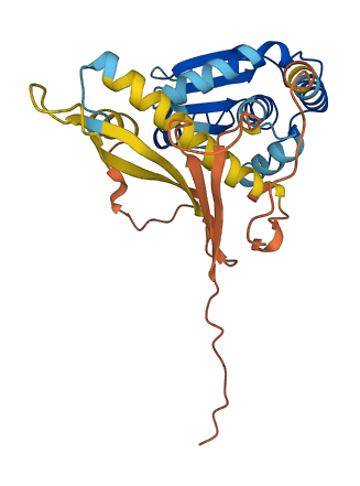 DUSP15 3D structure