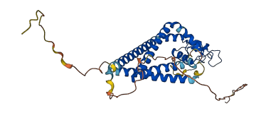 TSPAN10 3D structure