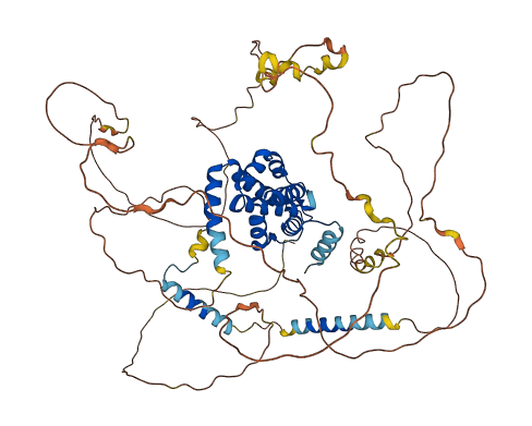 EPN3 3D structure