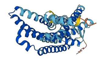 OR2AG1 3D structure